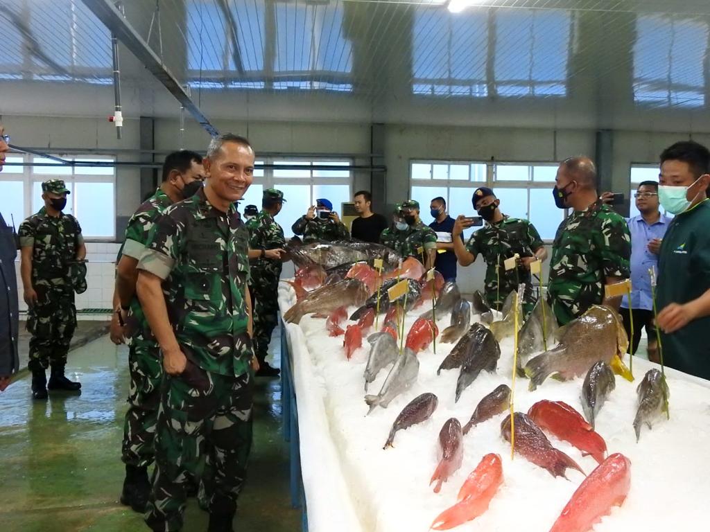 Pangdam berkesempatan meninjau perkembangan program Mutiara Pattimura bidang perikanan di Tual, di antaranya proses kerja sama