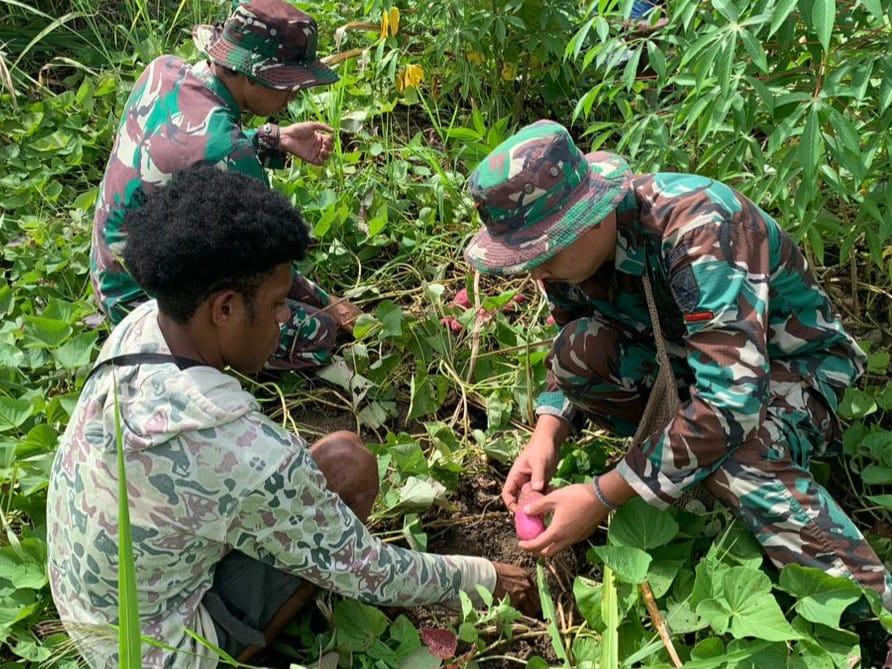 Satgas Yonif 143/TWEJ yang selalu aktif mengajak dan membimbing masyarakat untuk bercocok tanam dan memanfaatkan lahan yang cukup luas