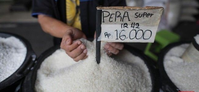 Kantor Staf Presiden (KSP) heran mengapa harga beras di pedagang tradisional dan warung-warung masih tetap mahal