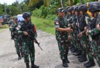 Komandan Kodim 1710/Mimika Letkol Inf Dedy Dwi Cahyadi mendampingi kunjungan kerja Komandan Korem (Danrem) 174/ATW Brigjen TNI Agus Widodo