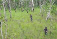 Aktivitas terjadwal yang dilakukan oleh Satgas Pamtas Yonif 726/Tml untuk memastikan kondusivitas wilayah guna memantau situasi