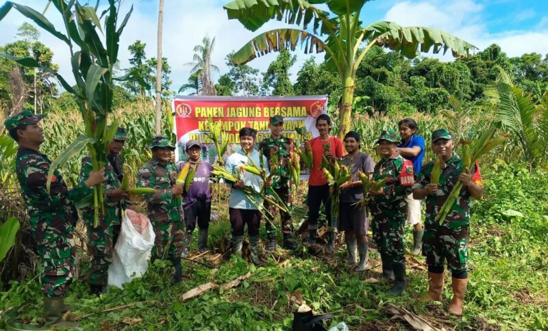 Panen raya jagung tersebut bertempat di lahan milik Kelompok Tani Kaugapu di Kampung Kaugapu, Distrik Mimika Timur l, Kab. Mimika