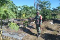 Babinsa Koramil 03/Kuala Kencana Kodim 1710/Mimika Koptu Alfaris Kumiyu melaksanakan kegiatan Komunikasi Sosial (Komsos)