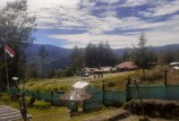 Aksi biadab Organisasi Papua Merdeka (OPM) di wilayah Distrik Homeyo, Kabupaten Intan Jaya, Papua, berhasil ditindak oleh Aparat Keamanan