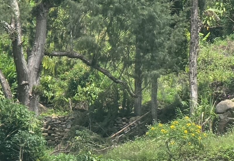 Aparat Keamanan Gabungan tersebut melibatkan satuan jajaran Komando Operasi TNI (KOOPS TNI) HABEMA dan Satgas NANGGALA KOPASSUS