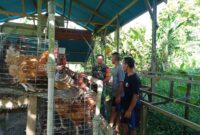 Babinsa Koramil 1710-03/Kuala Kencana Serma Syafii langsung turun ke wilayah binaan untuk melaksanakan Komunikasi Sosial (Komsos)