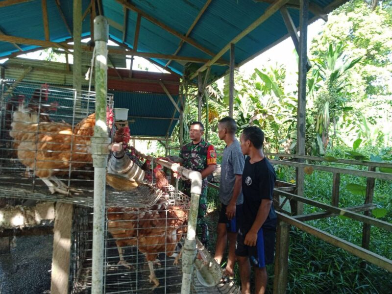 Babinsa Koramil 1710-03/Kuala Kencana Serma Syafii langsung turun ke wilayah binaan untuk melaksanakan Komunikasi Sosial (Komsos)