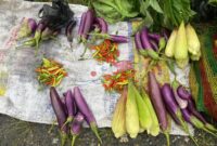 Soldiers had an opportunity to visit the Sugapa Market and carry out the “ROSITA” (Buy up Farming Products)