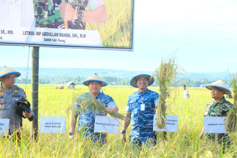 Panen Raya Padi Optimalisasi Lahan Rawa di Desa Mallongilongi, Kecamatan Lanrisang, Kabupaten Pinrang, Provinsi Sulawesi Selatan