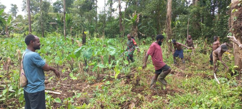 Babinsa Koramil 1710-03/Kuala Kencana Serka Yusup Mirip melaksanakan Komunikasi Sosial (Komsos) dengan petani di wilayah binaan