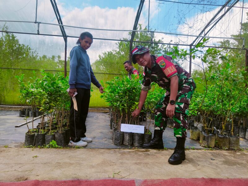 Babinsa Koramil 1710-02/Timika dipimpin Serka Joko Lelono bersama Dinas Pertanian Mimika sedang melaksanakan penyiapan tanaman untuk program penghijauan