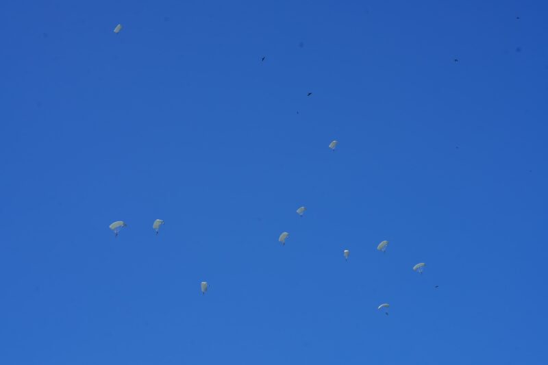 Pasukan penerjun melaksanakan terjun bebas militer atau military free fall sebagai bagian dari latihan gabungan bersama Super Garuda Shield 2024