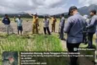 Yudi Purnomo Harahap Anggota Satgassus Pencegahan Korupsi Polri menyampaikan kepada media bahwa Satgas terus melakukan Monitoring dan Evaluasi