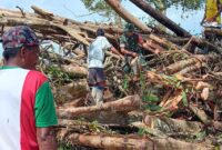 Babinsa dari Koramil 1710-07/Mapurujaya Sertu Tangkas Budiono mengajak masyarakat untuk membersihkan pohon tumbang