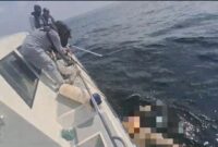 Stasiun Bakamla RI Sambas melalui unsur Catamaran-505, bekerja sama dengan Basarnas Sintete berhasil menemukan dua korban tenggelam