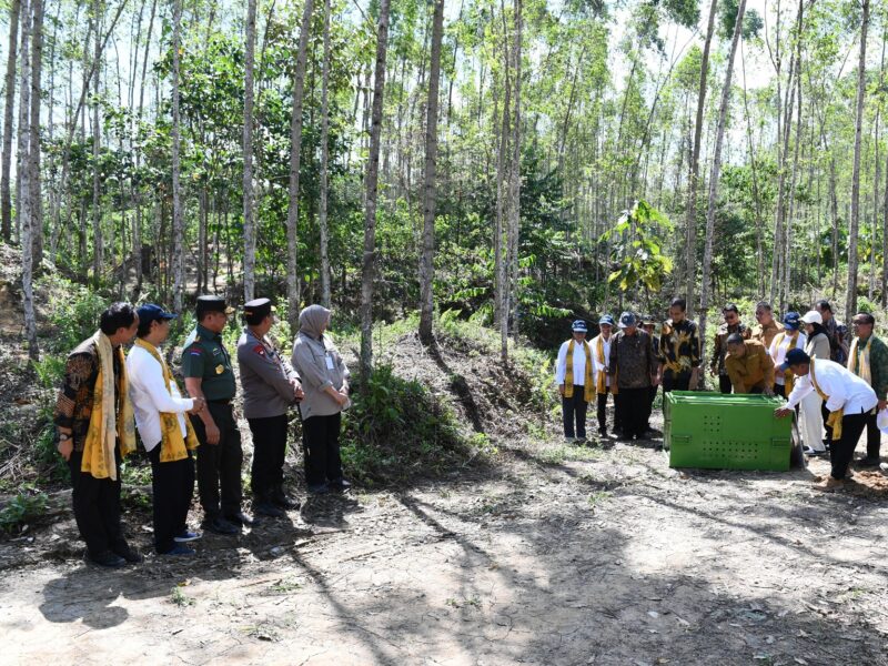 Panglima TNI Jenderal TNI Agus Subiyanto mendampingi Presiden RI Joko Widodo melakukan peninjauan sekaligus pencanangan kawasan Wanagama Nusantara