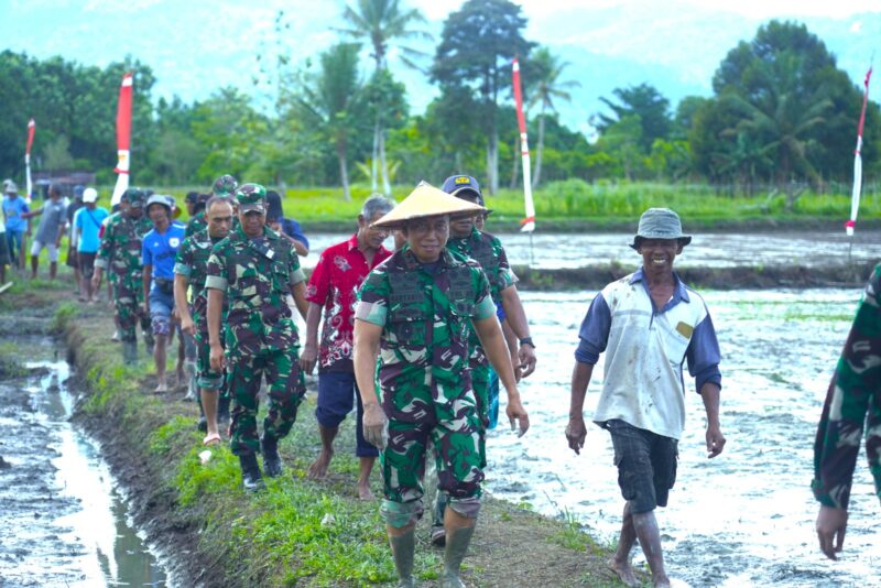 Kodam XVIII/Kasuari melaksanakan tanam padi perdana sebagai bagian dari Program Ketahanan Pangan di Kampung Bowi Subur