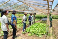 Dinas Pertanian Kabupaten Mappi bersama personel Satgas menggelar penyuluhan pertanian bagi para petani di Distrik Obaa