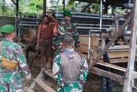 Babinsa Koramil 1710-07/Mapurujaya pada hari Sabtu (02/11/2024) melaksanakan Komsos dengan peternak lokal di wilayah binaan