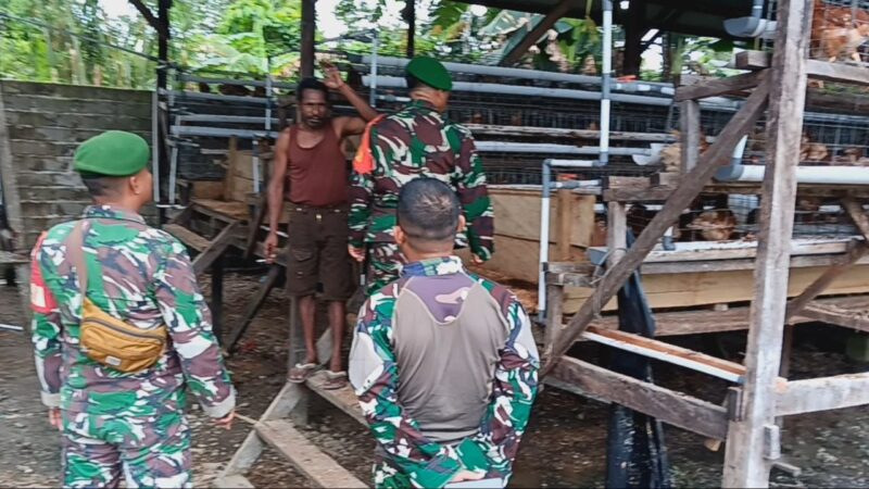 Babinsa Koramil 1710-07/Mapurujaya pada hari Sabtu (02/11/2024) melaksanakan Komsos dengan peternak lokal di wilayah binaan