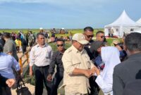 Panglima TNI Jenderal TNI Agus Subiyanto mendampingi Presiden RI Prabowo Subianto meninjau Program Swasembada Pangan Nasional