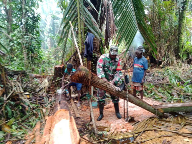 Babinsa Koramil 03/Kuala Kencana Kodim 1710/Mimika Kopka Alfaris Kumiyu, membantu warga binaan dalam melakukan pengolahan sagu
