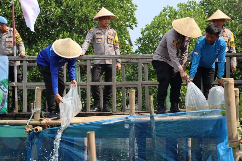 Polres Pelabuhan Tanjung Priok melakukan penaburan benih ikan nila di Taman Mangrove Ecomarine Green Save Pelabuhan Muara Angke