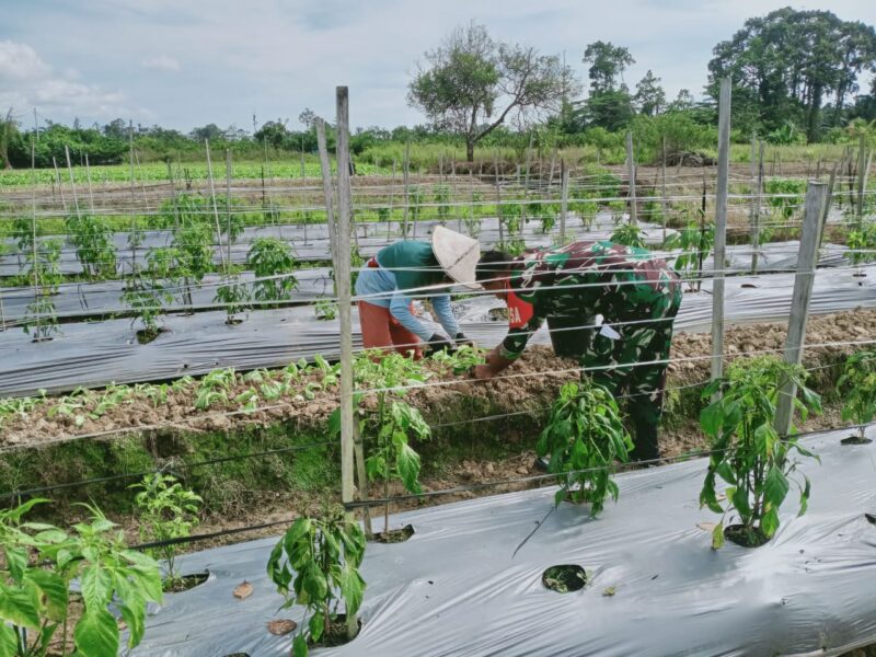 Babinsa Koramil 1710-02/Timika, Sertu Rusdin Wali melaksanakan Komunikasi Sosial (Komsos) dengan warga yang beralamat di Kelurahan Mawokau Jaya