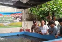 Kegiatan pendampingan pemberian makanan dan penebaran obat ikan di kolam ikan rakyat Pelabuhan Kali Baru