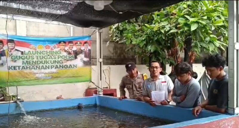 Kegiatan pendampingan pemberian makanan dan penebaran obat ikan di kolam ikan rakyat Pelabuhan Kali Baru