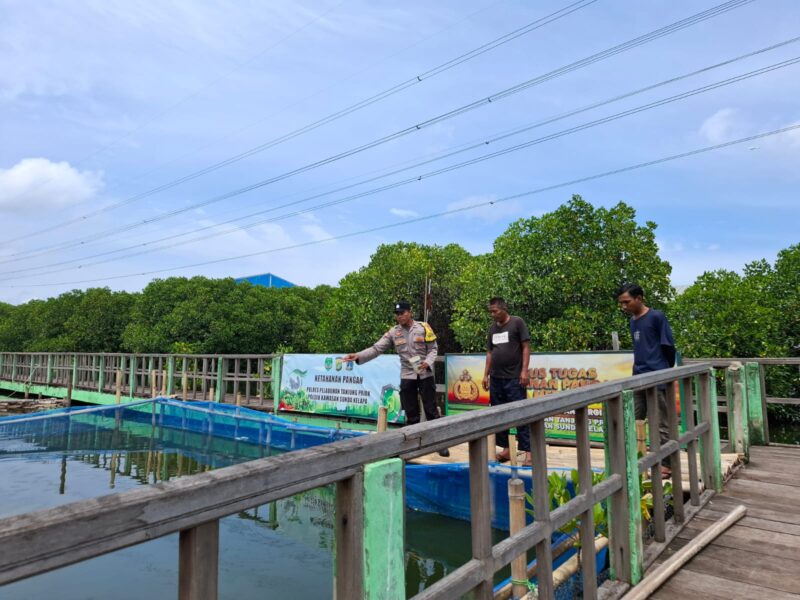 Kegiatan pendampingan pemberian makanan dan penebaran obat ikan di kolam ikan hutan mangrove Pelabuhan Muara Angke