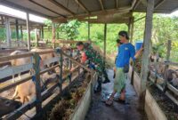 Babinsa Koramil 1710-02/Timika Sertu Rusdin Wali melaksanakan Komunikasi Sosial (Komsos) bersama warga binaan