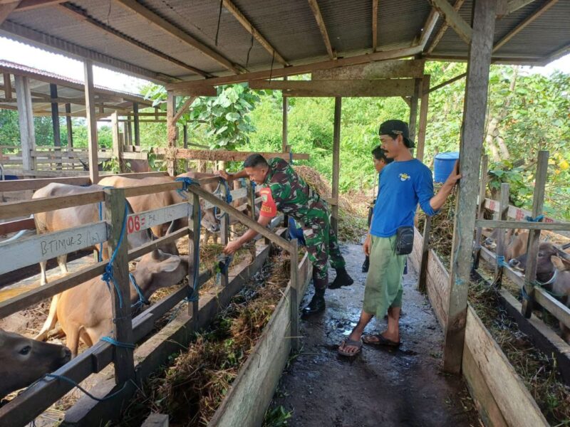 Babinsa Koramil 1710-02/Timika Sertu Rusdin Wali melaksanakan Komunikasi Sosial (Komsos) bersama warga binaan