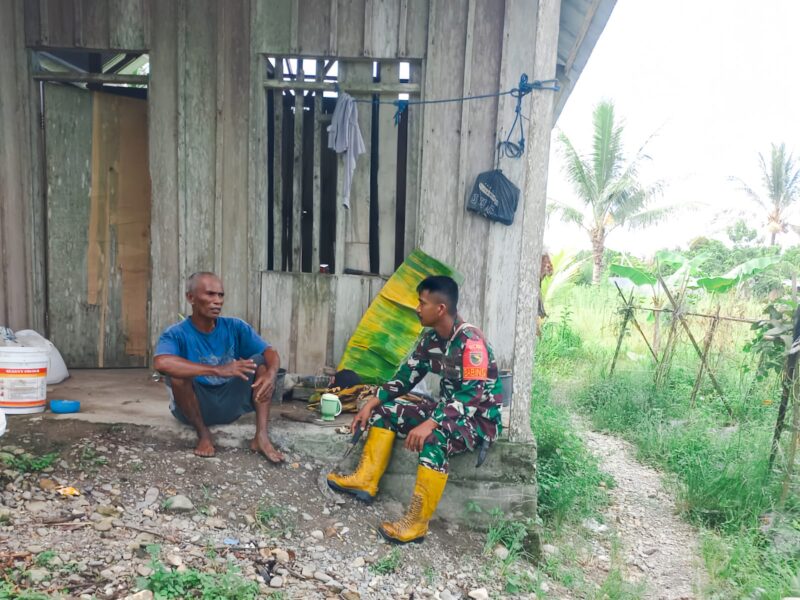 Serka Philipus Paringgi Babinsa Koramil 02/Timika Kodim 1710/Mimika lakukan Komunikasi Sosial (Komsos) dengan petani jagung