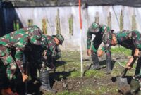 Personel Satgas Pamtas Kewilayahan Yonif 715/Motuliato, ciptakan ketahanan pangan dengan bercocok tanam di lahan sekitar Pos Pruleme