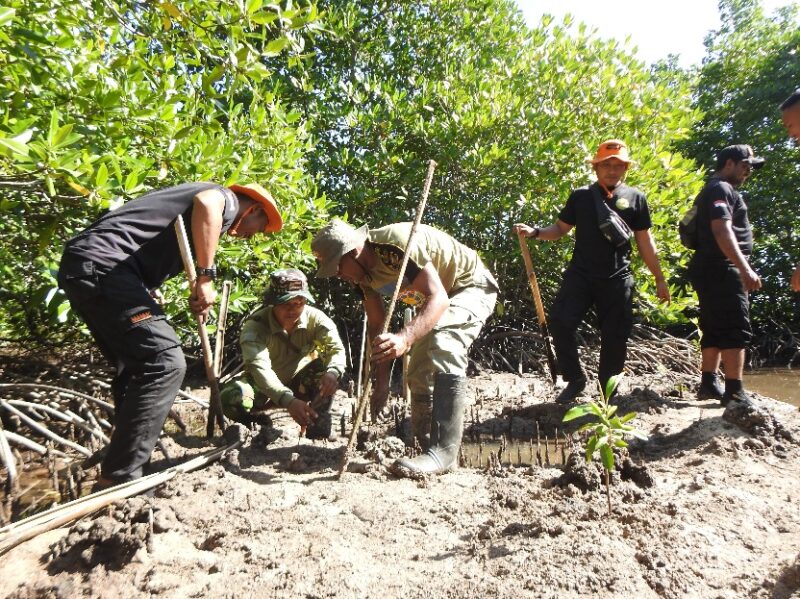 Komando Distrik Militer (Kodim) 1510/Sula melaksanakan kegiatan penanaman mangrove di pesisir Pulau Sula, tepatnya di Desa Mangega