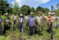 Kepala Badan Keamanan Laut Republik Indonesia (Bakamla RI), Laksdya TNI Dr. Irvansyah, S.H., M.Tr.Opsla., melaksanakan panen kacang tanah