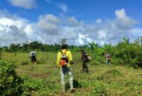 Satuan Tugas TNI Manunggal Membangun Desa (TMMD) ke-124 Kodim 1710/Mimika memperluas jangkauan kegiatan dengan membuka lahan tidur