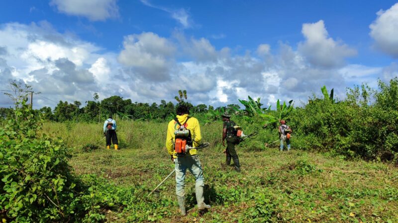 Satuan Tugas TNI Manunggal Membangun Desa (TMMD) ke-124 Kodim 1710/Mimika memperluas jangkauan kegiatan dengan membuka lahan tidur