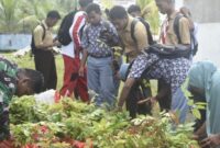 Satgas TMMD ke-124 Kodim 1501/Ternate melaksanakan penghijauan dengan menanam berbagai macam tanaman pohon keras