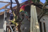 Satgas TMMD ke-124 Kodim 1501/Ternate bersama warga Desa Jarakore, Kecamatan Sahu, Kabupaten Halmahera Barat, gotong royong
