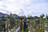 Dandim 1710/Mimika Letkol Inf M. Slamet Wijaya, S.Sos., M.Han., M.A. didampingi Pasiter dan Babinsa setempat melakukan peninjauan