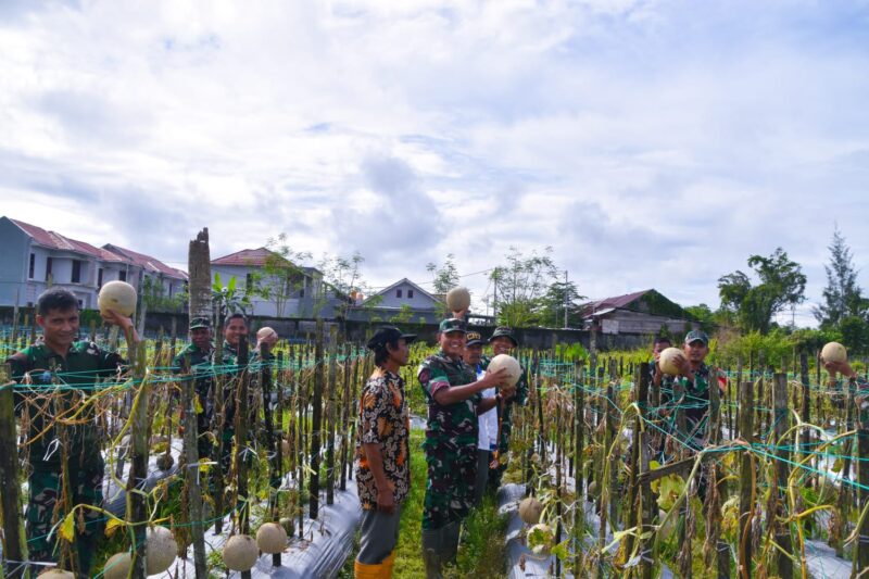 Dandim 1710/Mimika Letkol Inf M. Slamet Wijaya, S.Sos., M.Han., M.A. didampingi Pasiter dan Babinsa setempat melakukan peninjauan