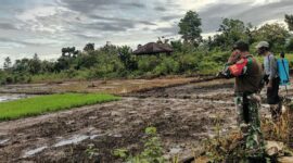 Babinsa Koramil 1710-03/Kuala Kencana, Sertu Abraham dan Koptu Frengki melaksanakan Komsos ke wilayah binaan