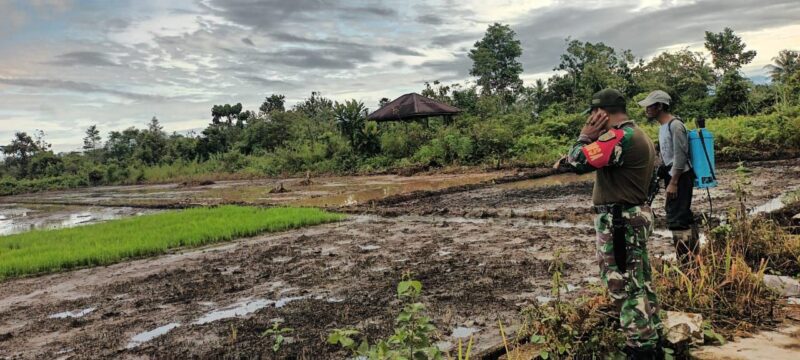 Babinsa Koramil 1710-03/Kuala Kencana, Sertu Abraham dan Koptu Frengki melaksanakan Komsos ke wilayah binaan