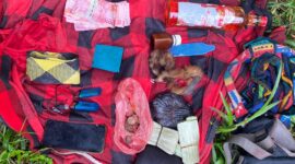 Satuan gabungan TNI kembali melumpuhkan tokoh separatis bersenjata Organisasi Papua Merdeka (OPM), Enos Tipagau