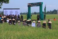 Panglima TNI Jenderal TNI Agus Subiyanto saat memimpin kegiatan Panen Raya Padi di lahan ketahanan pangan Kodam I/Bukit Barisan