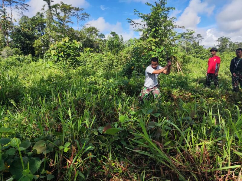 Anggota Kodim 1710/Mimika melaksanakan pembersihan lahan satuan