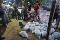 Stasiun Bakamla Bangka Belitung kembali menunjukkan komitmennya dalam menjaga keamanan laut sekaligus mendukung kebijakan pemerintah