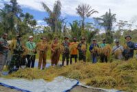 Pelda Safi’i bersama empat Babinsa Koramil 1710-03/Kuala Kencana Kodim 1710/Mimika, bersama warga Kampung Iwaka dan Dinas Pertanian